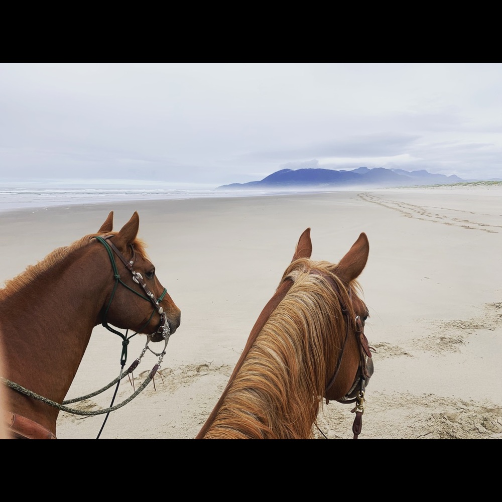 Meet your Posher, Kylie